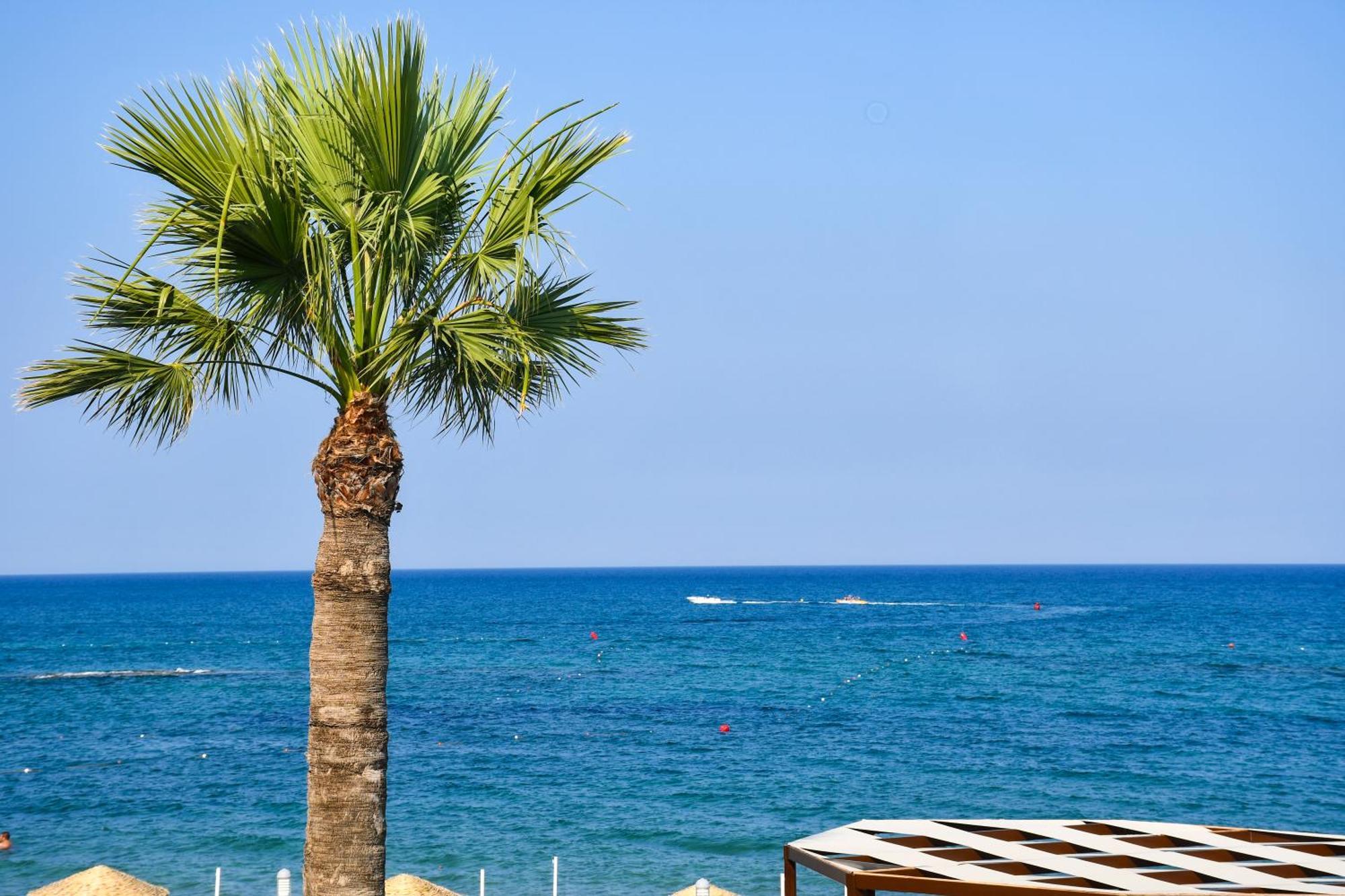 Mimoza Beach Hotel Agios Sergios Bagian luar foto